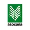 Logo Asocaña